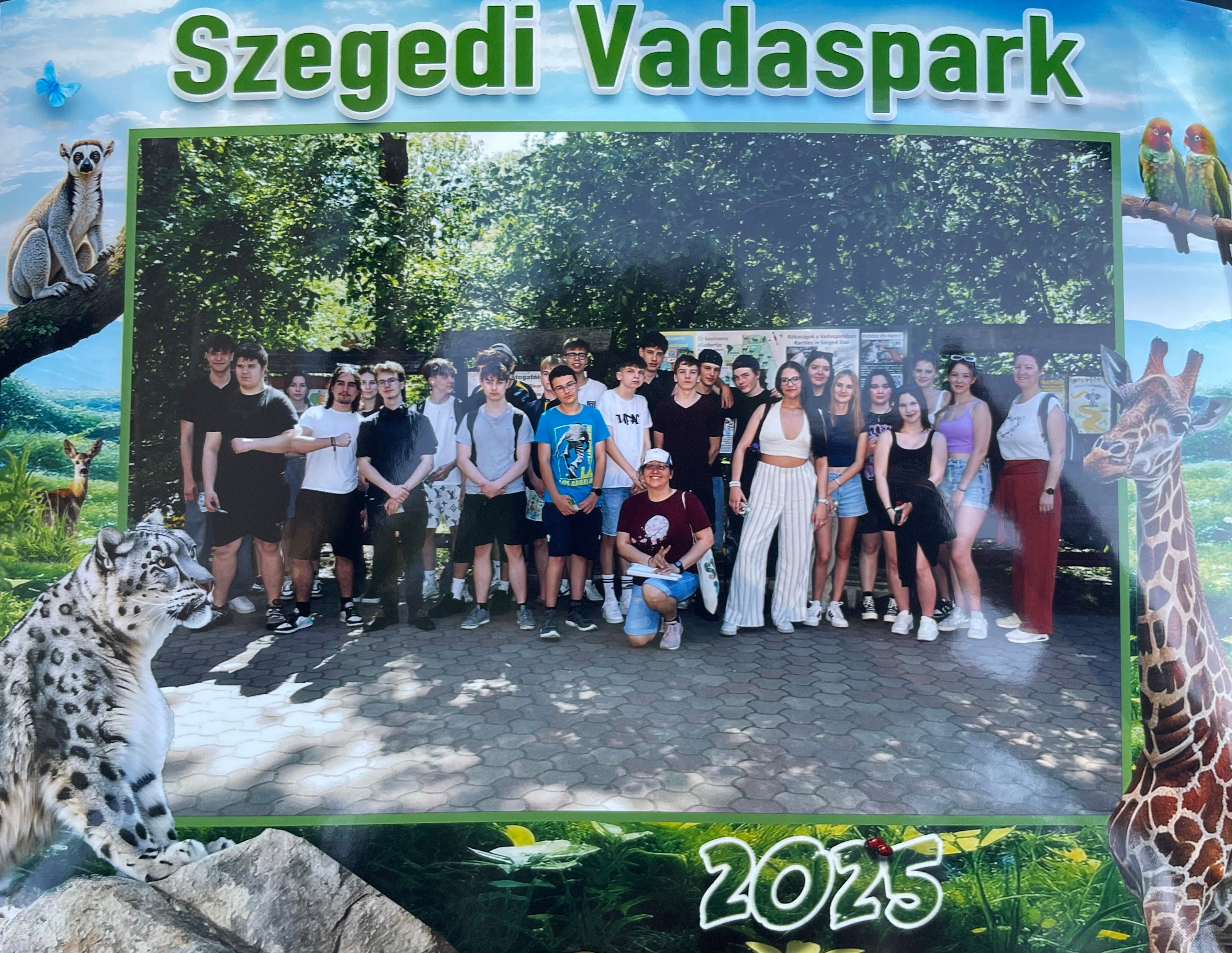 szsz_1.jpeg